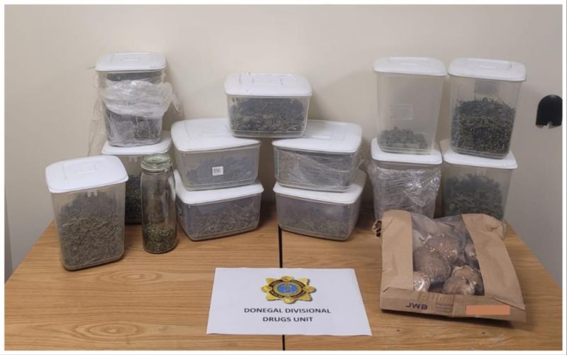 Two men arrested as garda&iacute; seize over &euro;125k worth of cannabis and magic mushrooms