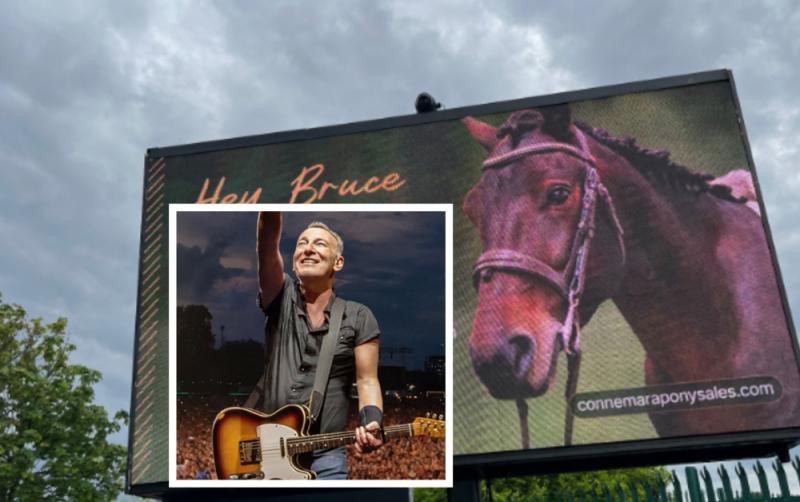 Connemara Pony Sales create hilarious ad for Bruce Springsteen during his time in Cork