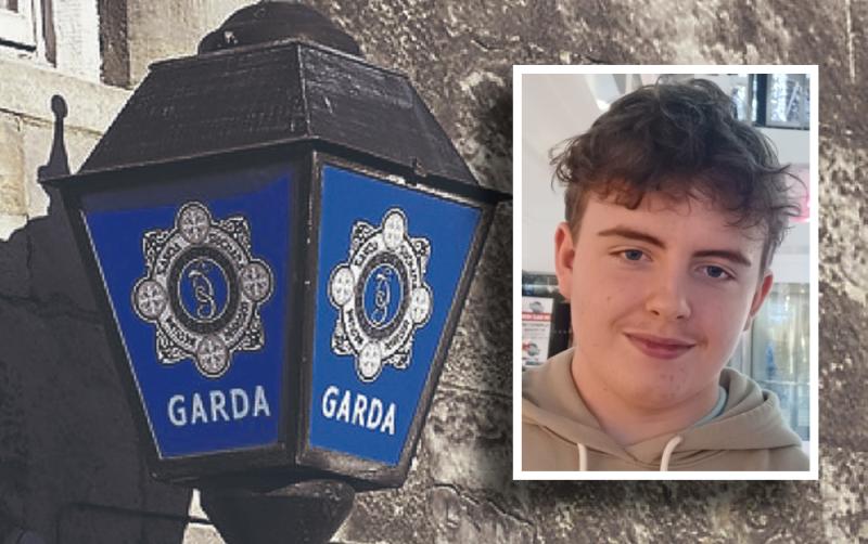 Have you seen Steven? Garda&iacute; issue appeal to find missing teenager