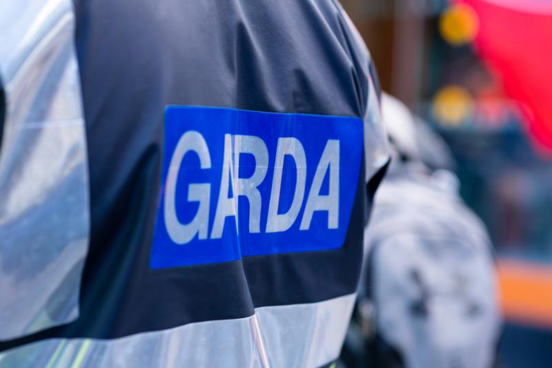 UPDATE: Second man arrested in connection with death of man in Wexford