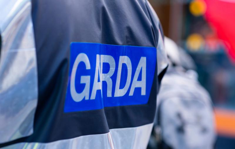Garda&iacute; arrested third man in connection with fatal stabbing in County Dublin