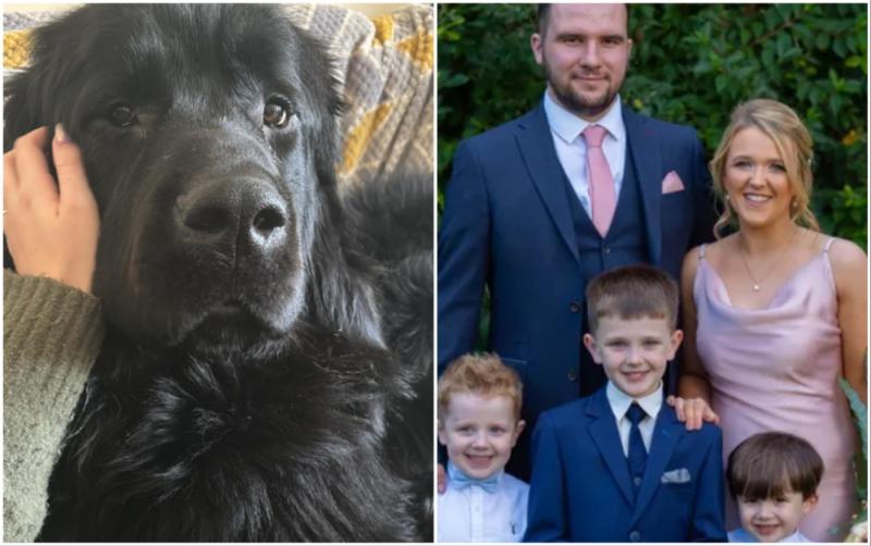 Fundraiser launched after expectant family lose 'precious' dog in major house fire