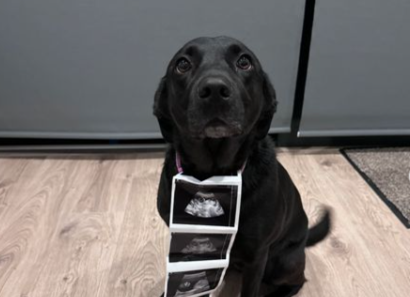 'Bring on even more madness' - Radio star announces exciting baby news