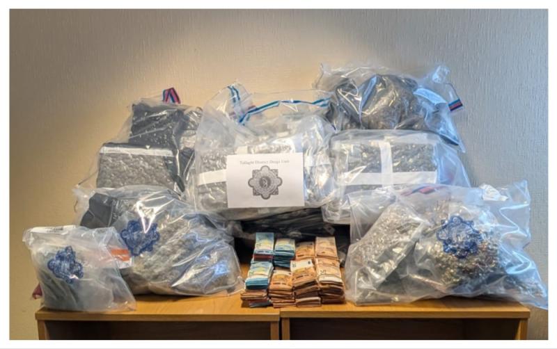 Over &euro;1 million worth of drugs and cash seized during major search of home