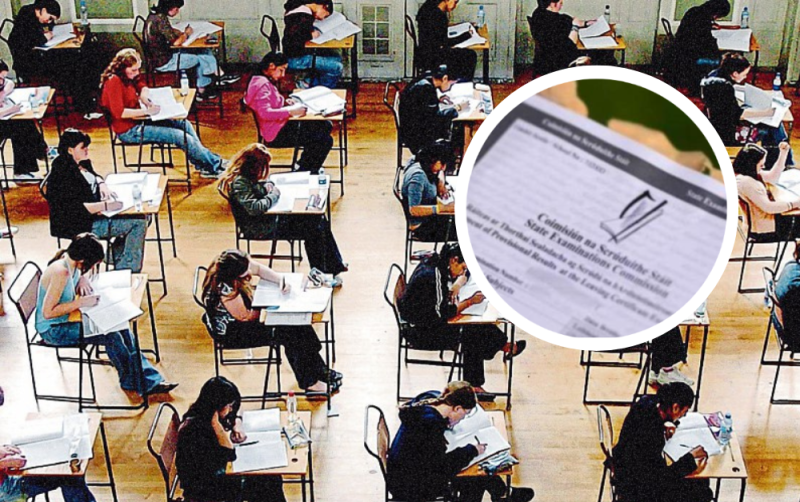 OPINION: 2025 Leaving Cert students getting screwed as 'Covid kids' nab college places
