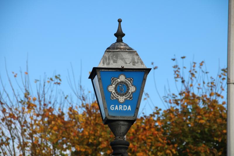 Garda&iacute; appeal for witnesses to dangerous driving  and assault incidents in Kilkenny