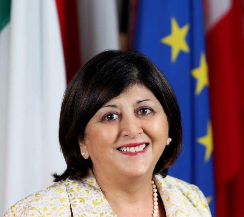 Six Schools perform with Distinction during EU Model Council Debate on Migration&nbsp;