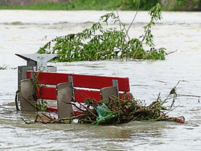 Eamon Ryan urges public to engage with consultation on Ireland's climate change plans