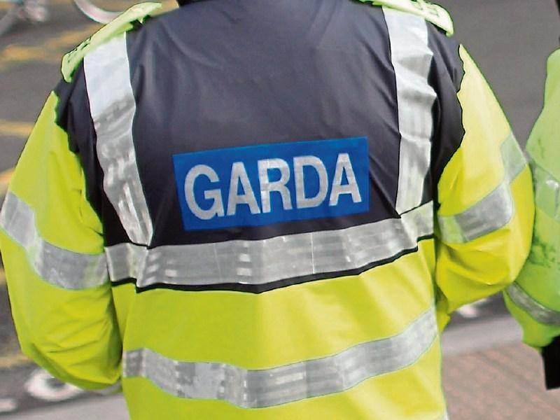 Man who demanded to speak to an 'Irish' guard in Mayo fined &euro;300