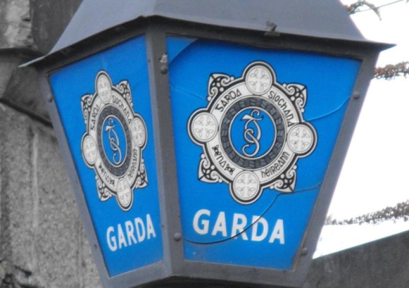 Garda&iacute; renew appeal for information on fatal quad incident which caused death of teenager