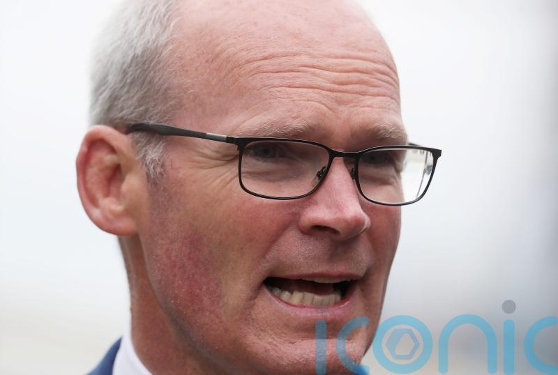 'My job as foreign minister is to try to think ahead' - Coveney rules out Filatov expulsion