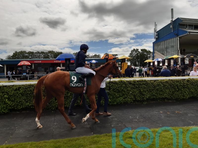 Regally-bred Statuette makes striking debut at Navan