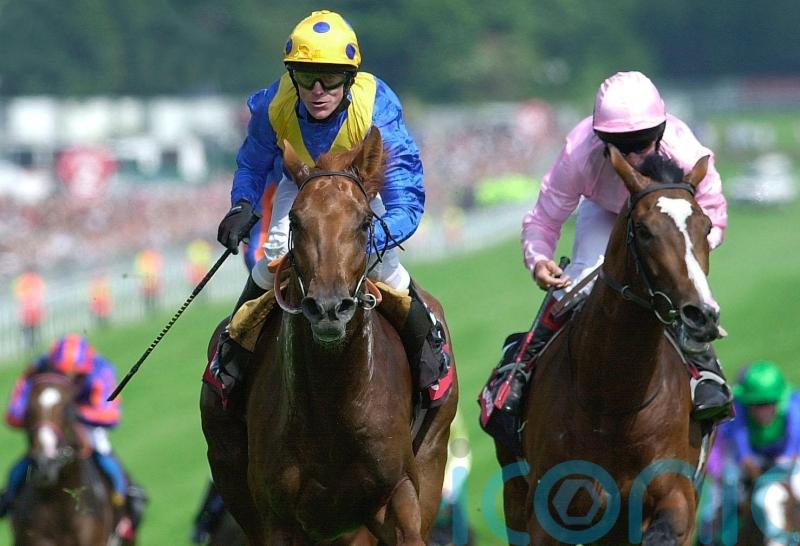 Fallon salutes Stoute and the &lsquo;greatest training performance of all time&rsquo;