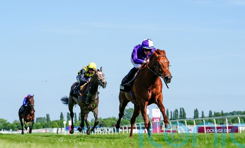 Amo Racing lining up strong Royal Ascot challenge