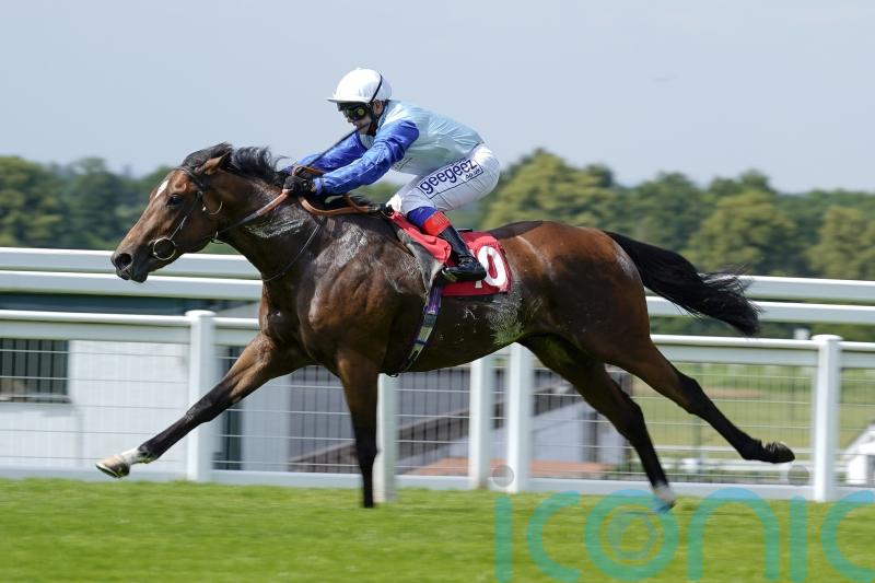 Hills savouring Derby challenge with Sonny Liston