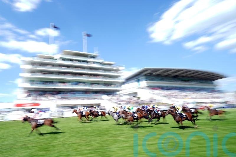 Adrian Nicholls treads familiar path with Dash hope Tees Spirit