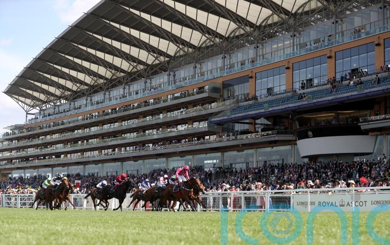 Sprinting big guns all set for King&rsquo;s Stand showdown