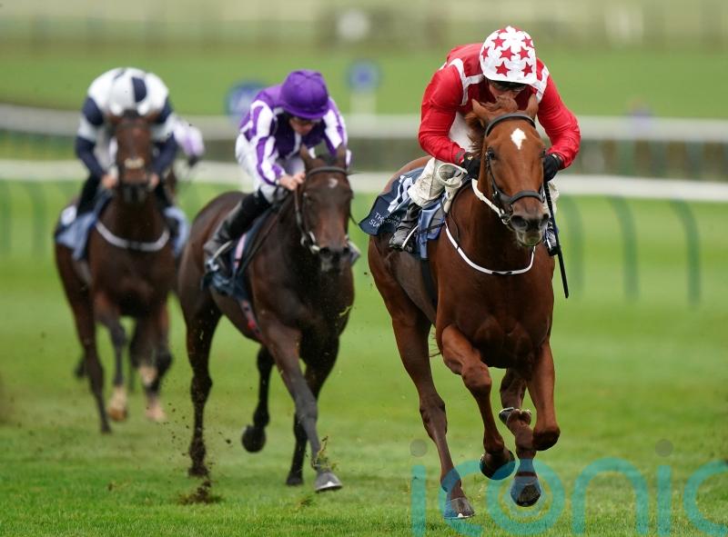 Saffron Beach in Duke of Cambridge contention