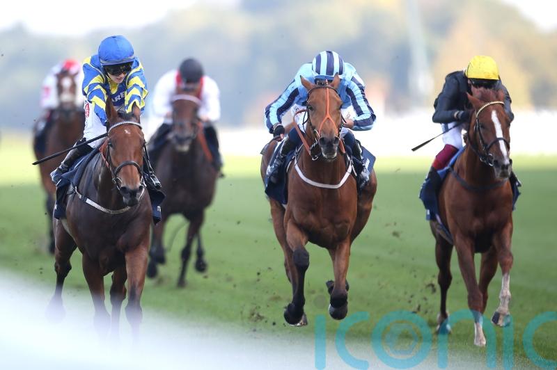 Trueshan, Kyprios and Stradivarius remain in Gold Cup reckoning