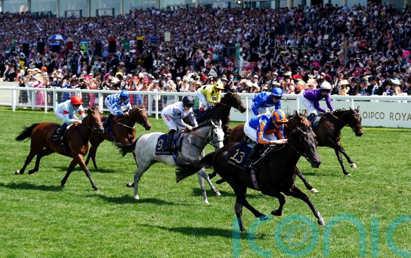 Meditate makes Albany splash