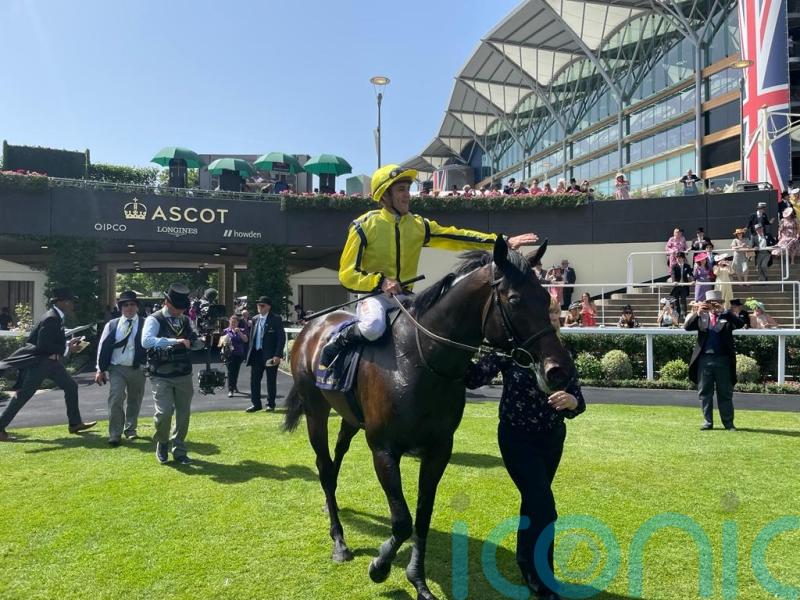 Power just Perfect in Commonwealth Cup