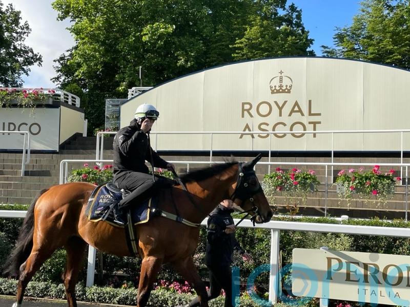 Home Affairs retired to Coolmore Australia