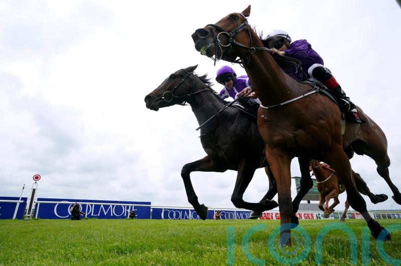 Crispy Cat hunting Railway compensation after luckless Ascot run