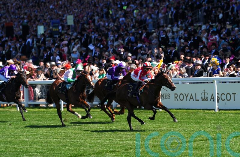 Royal Scotsman is Goodwood-bound after Ascot