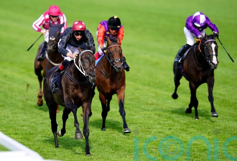 York Stakes the target for Ascot victor Claymore