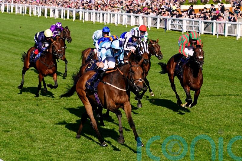 Get Shirty too good for Old Newton Cup rivals