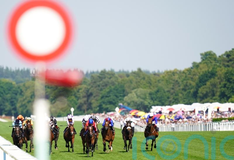 Motion keen on Ascot return with Spendarella