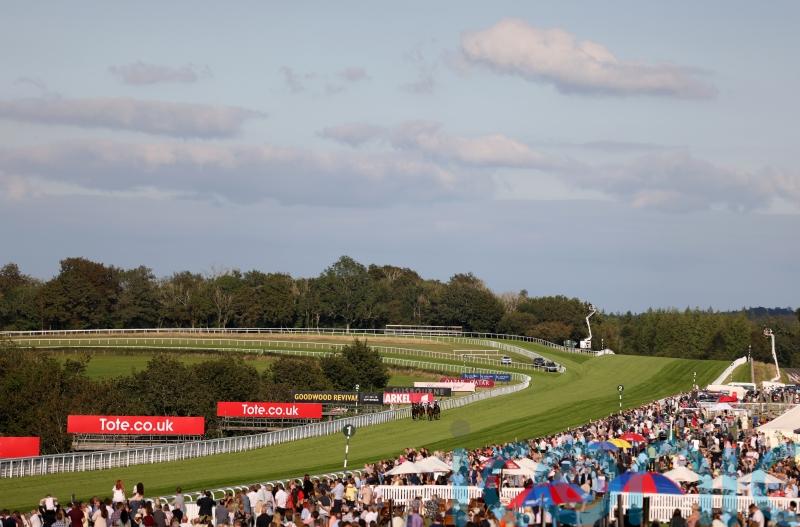 McConnell eyeing Stewards&rsquo; Cup with Coachello