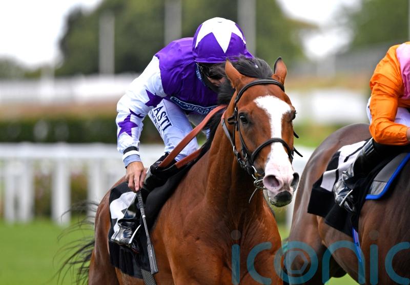 Goodwood possibility for Calling The Wind