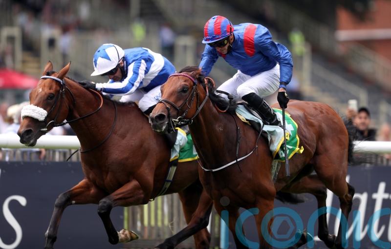 Haggas hoping for rain for Dubai Honour