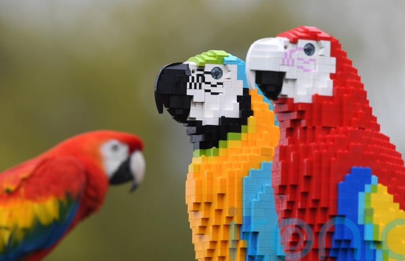 Toy giant pulls out of Russia, shutting 81 stores