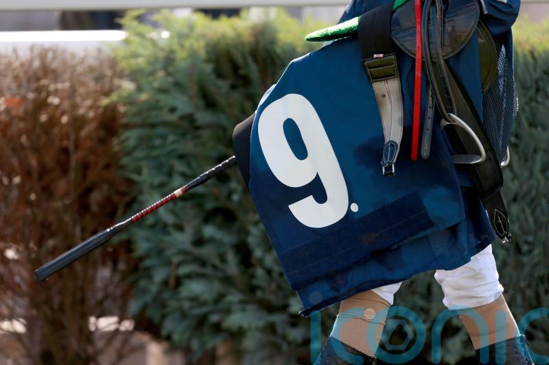 Bookmakers wait on more information regarding new whip policy