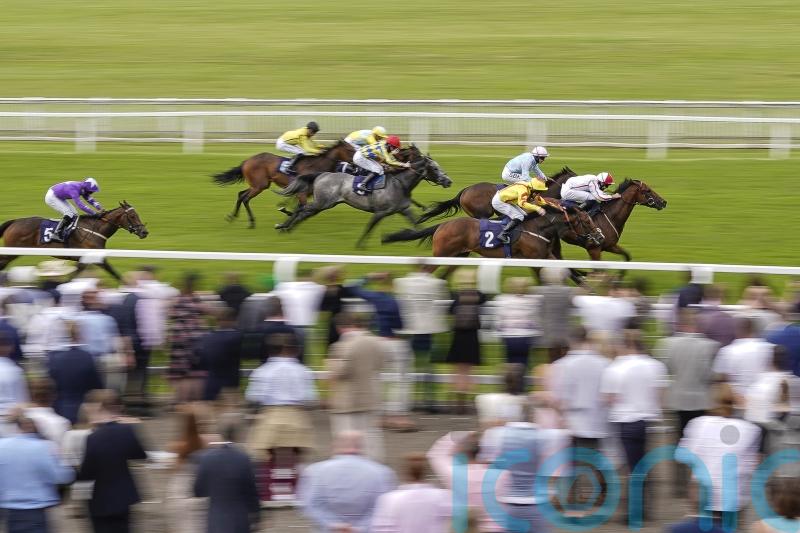 Five meetings cancelled due to extreme heat warning