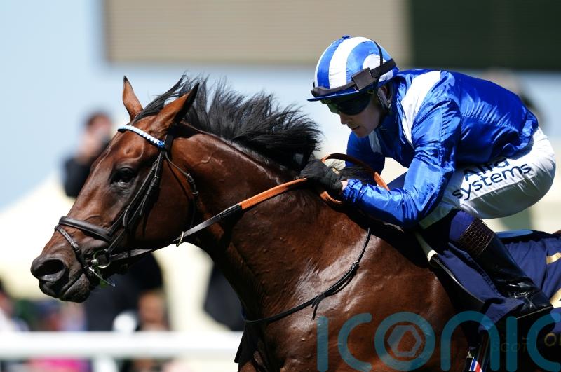 Sussex spectacular still on the cards