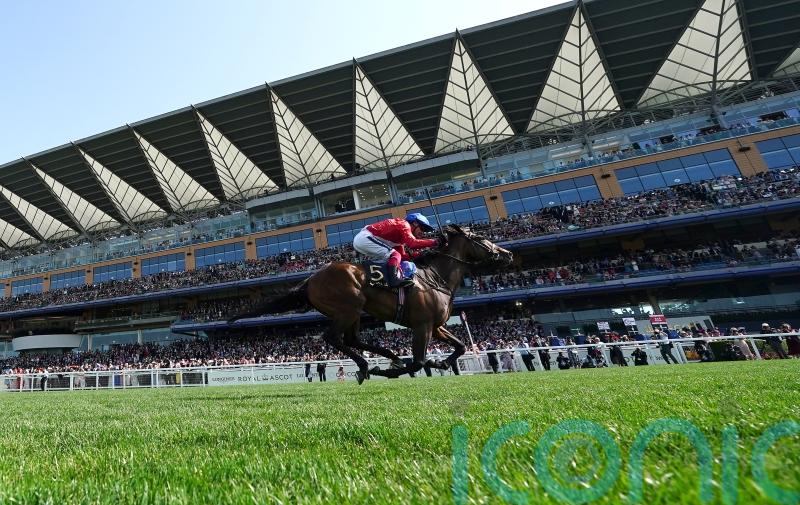 No immediate plans for Inspiral after Newmarket reverse