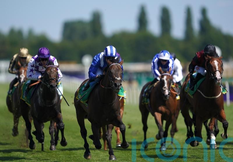 Minzaal given Maurice de Gheest target following Newbury win