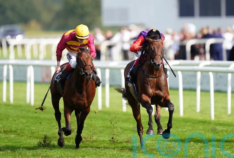 Bayside Boy in good shape for Thoroughbred challenge