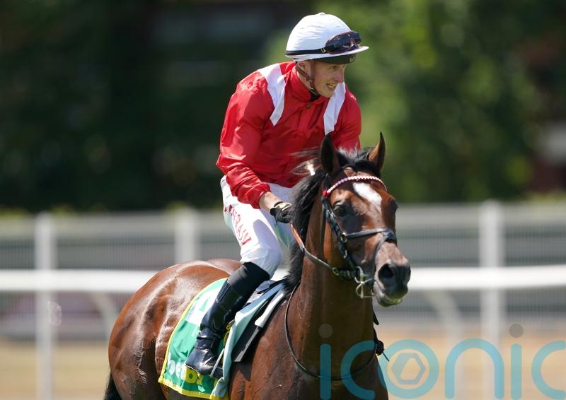 Grocer Jack aiming to blossom in Rose of Lancaster