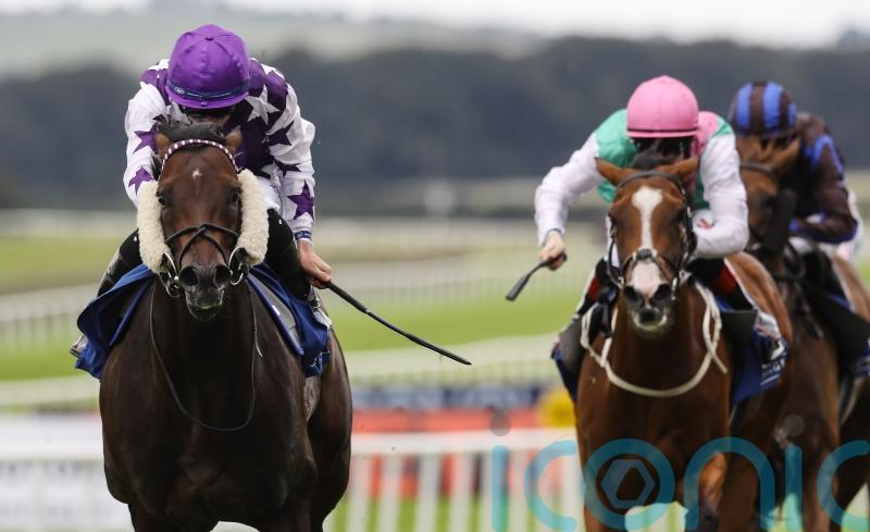 Go Bears Go rises to the top in Phoenix Sprint Stakes