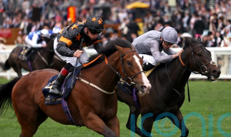 Rohaan to hunt Group One gold in Sprint Cup