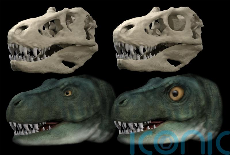 EXPLAINED: How dinosaurs evolved different eye socket shapes to allow stronger bites