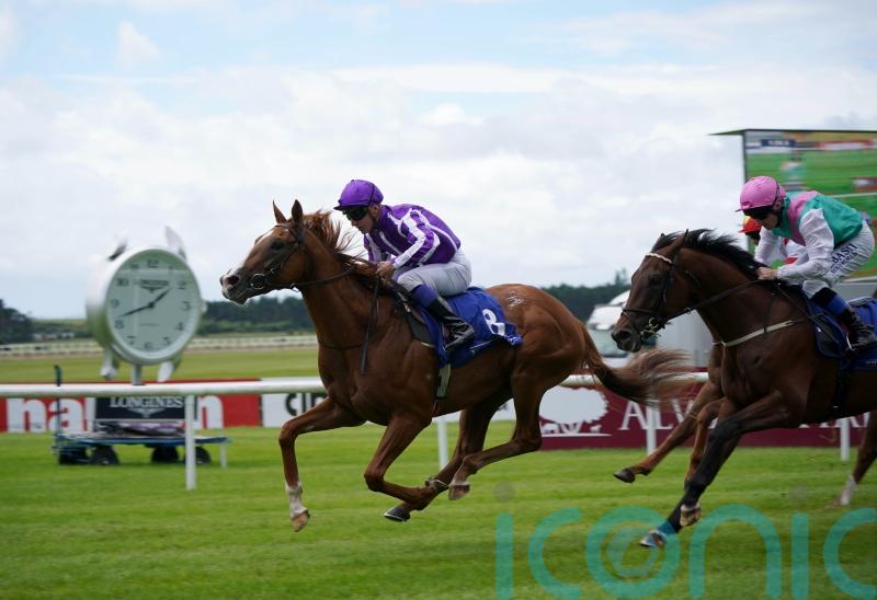 Futurity next stop for unbeaten Proud And Regal