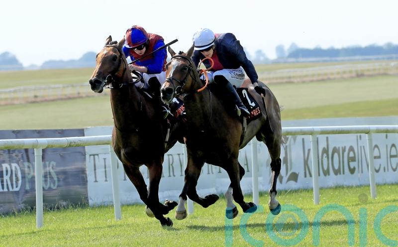 Luxembourg given a scare in Royal Whip comeback