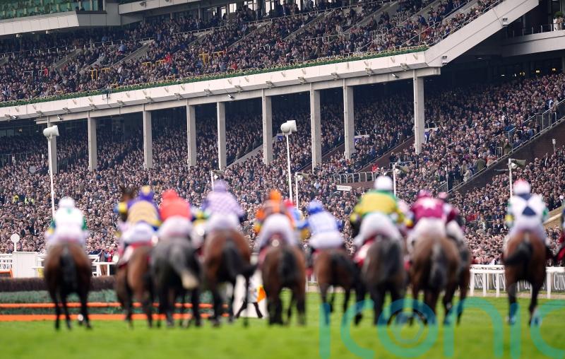 Cheltenham to cap Festival attendances in 2023