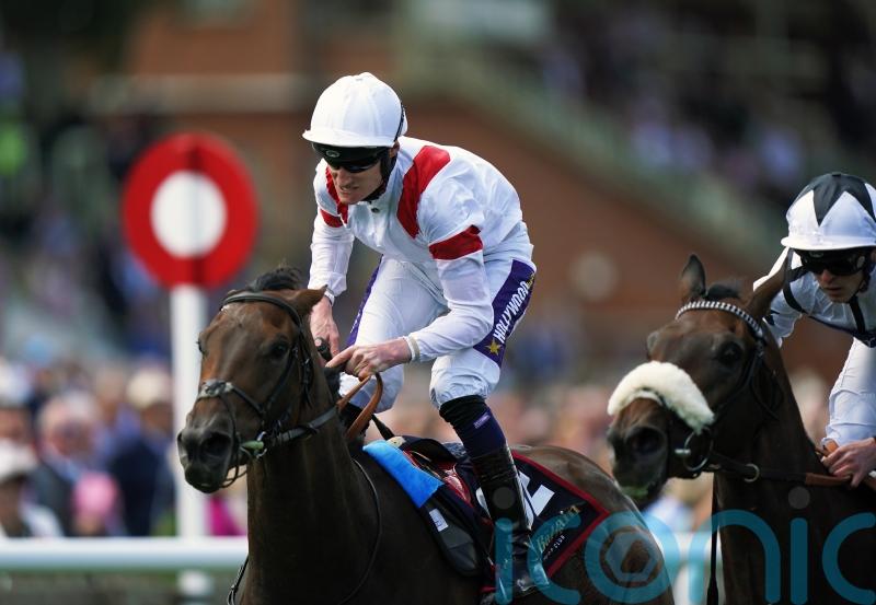 Ferguson has high hopes for Great Voltigeur pair