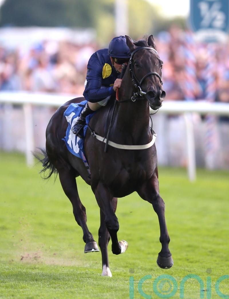 James Tate and Royal Aclaim bidding for Nunthorpe &lsquo;home&rsquo; win